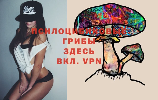 метадон Лагань