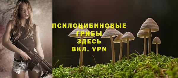 Альфа ПВП Кулебаки
