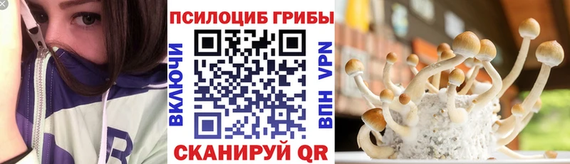 Псилоцибиновые грибы ЛСД  Змеиногорск 